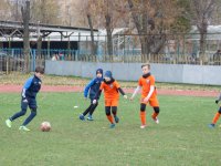 untitled-7161