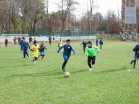 untitled-7223