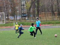 untitled-7228