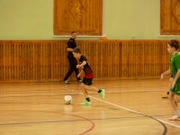 football-219