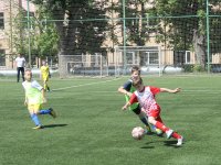 futbol-2455