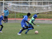 futbol-5566